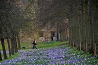 A Wander along the Backs